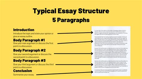 how long should a 5 paragraph essay be? exploring the dimensions of content and structure