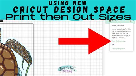 How to Use Cricut Print and Cut: A Journey Through Creativity and Chaos